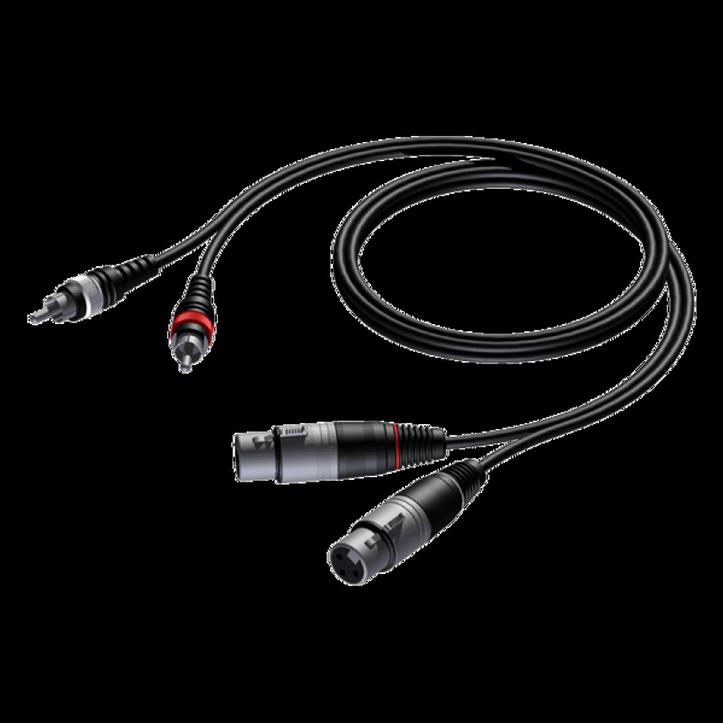 Interkonekcijski kabel 2x XLR F-2X RCA 1