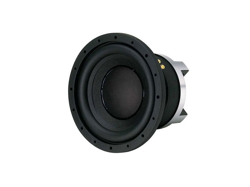 Zvučnik subwoofer 12 P.Audio
