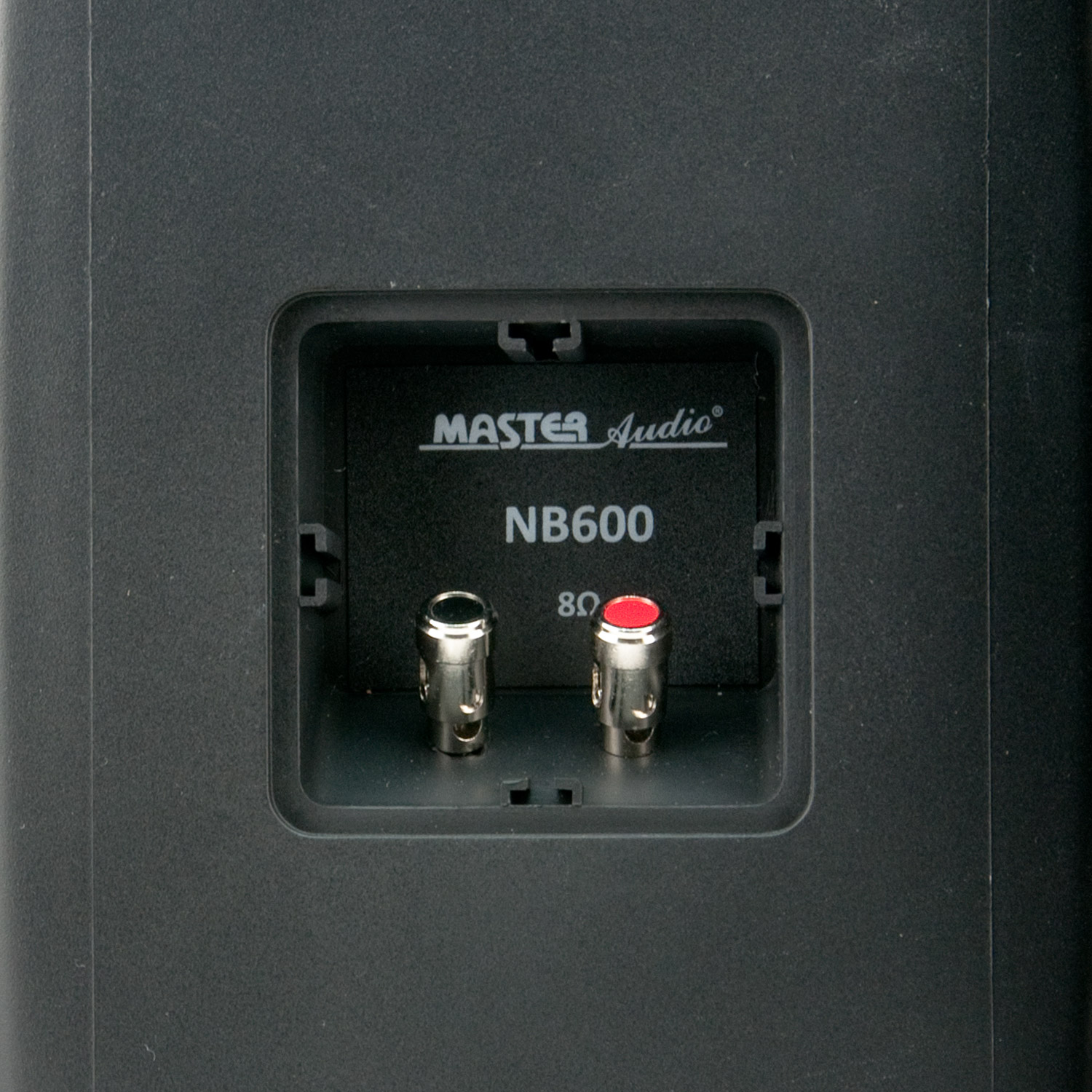 PA zvučnik nadgradni 6'' IP65 Master Audio (crni) - Slika 2